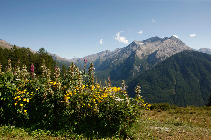 Baita di montagna