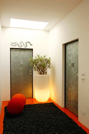 Loft lomellina