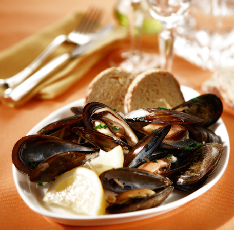 muscoli 
