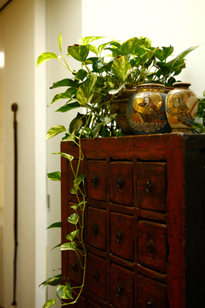 Loft lomellina
