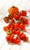 pomodori