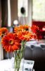 still life con fiori